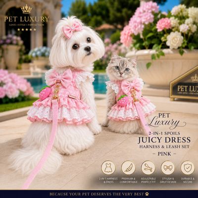 Pet Luxury 2-in-1 Spoils Juicy Dress Harness & Leash Set – Pink