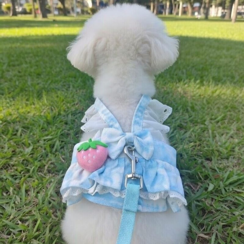 Spoils Juicy Dog Or Cat Dress-Blue