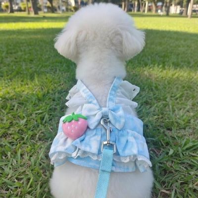 Spoils Juicy Dog Or Cat Dress-Blue