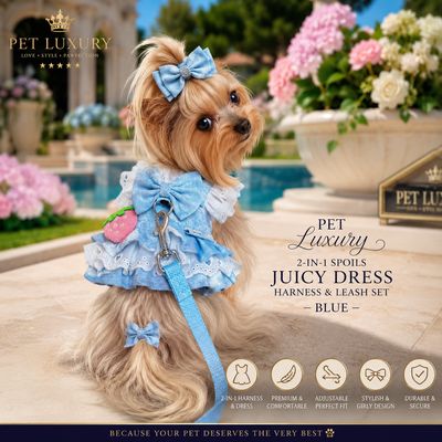 Pet Luxury 2-in-1 Spoils Juicy Dress Harness & Leash Set – Blue
