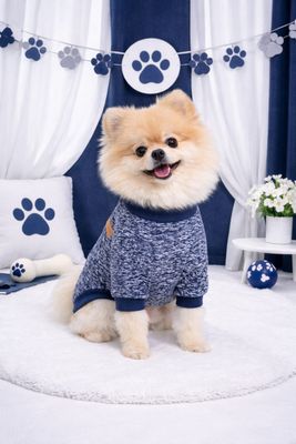 Farel Dog Jersey Shirt- Royal Blue