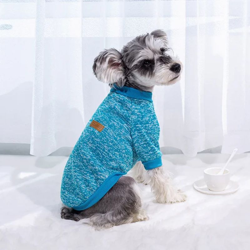 FAREL Dog Jersey Shirt - Royal Aqua FAREL Dog Jersey Shirt - Royal Aqua
