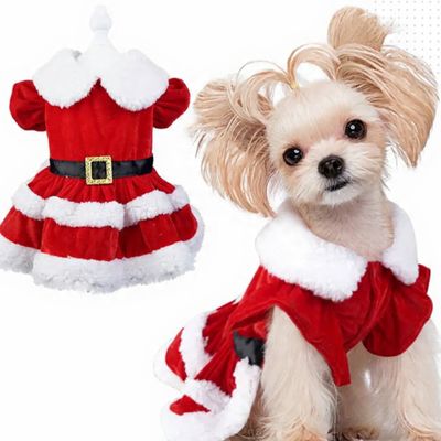 Miss Claus Dog Dress