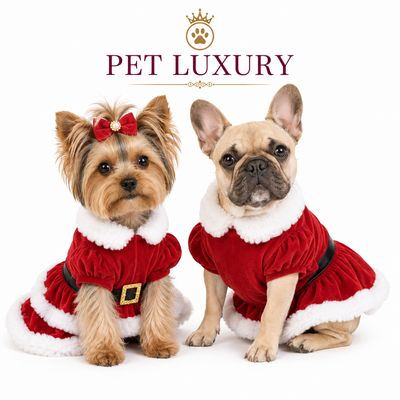 Miss Claus Dog And Cat Pet Luxury Dress
