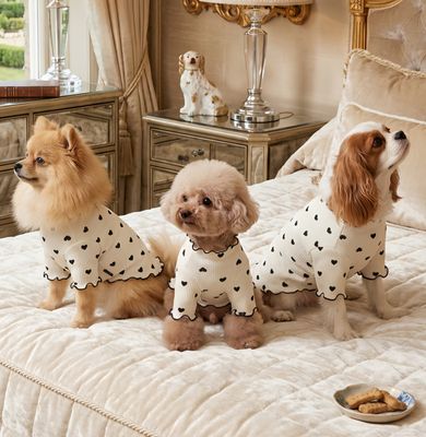 Pet Luxury Lounge A-List Dog Or Cat Shirt