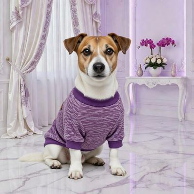 Farel Dog Jersey Shirt-Royal Purple