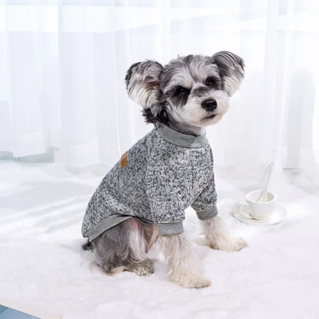 Farel Dog Jersey Shirt - Grey