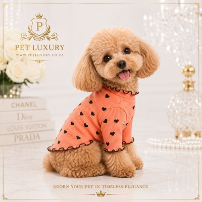 Pet Luxury Lounge A-List Dog Clothing - Orange
