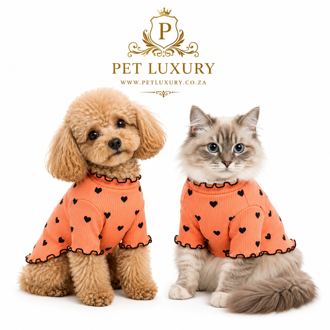 Pet Luxury Lounge A-List Dog Clothing - Orange Pet Luxury Lounge A-List Dog Clothing - Orange