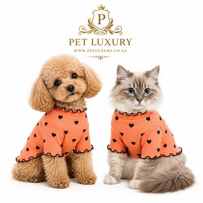 Pet Luxury Lounge A-List Dog Clothing - Orange