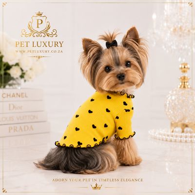 Pet Luxury Lounge A-List Dog Cat Clothing - Yellow