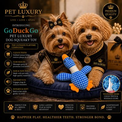 GoDuckGo Pet Luxury Dog Squeaky Toy