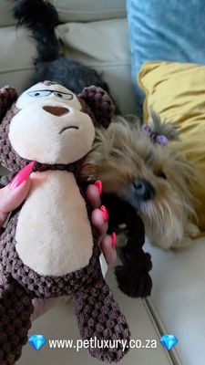 Coco Dog Squeaky Toy