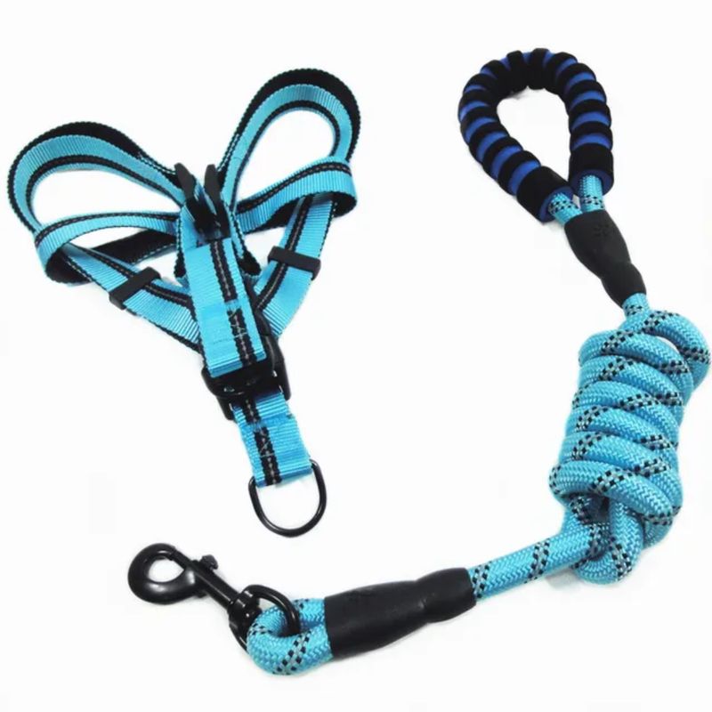Pet Luxury Pawsitively Perfect Blue Leach Harness
