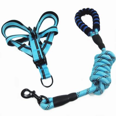 Pet Luxury Pawsitively Perfect Blue Leach Harness