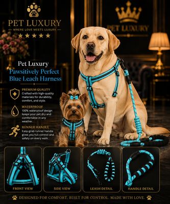 Pet Luxury Pawsitively Perfect Blue Leach Harness