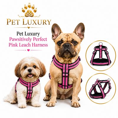 Pet Luxury Pawsitively Perfect Pink Leach Harness