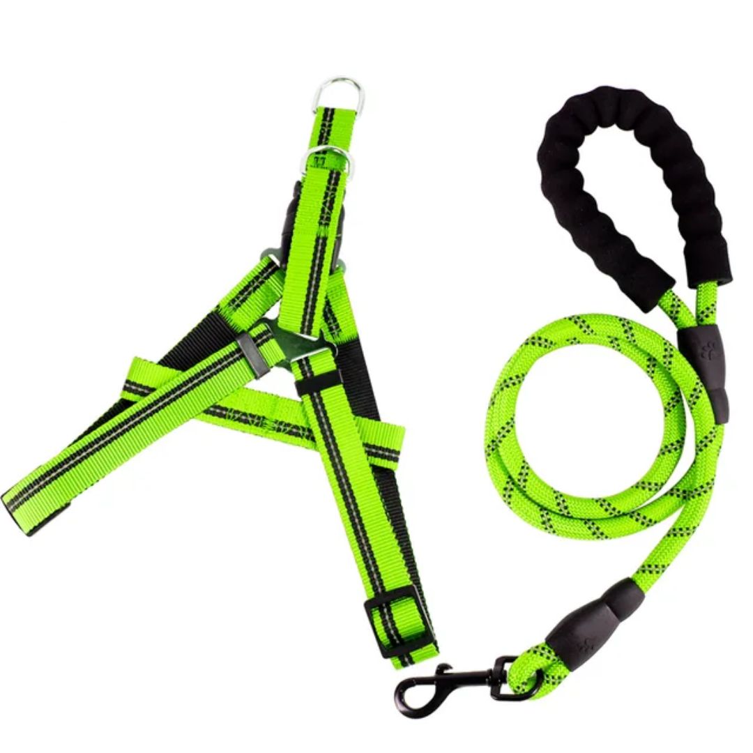Pet Luxury Pawsitively Perfect Green Leach Harness