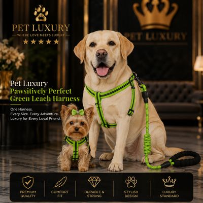 Pet Luxury Pawsitively Perfect Green Leach Harness