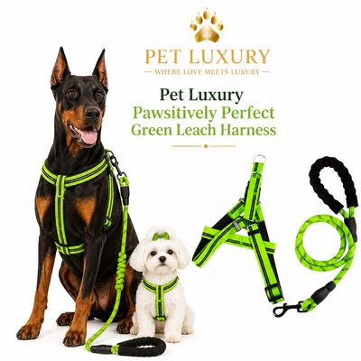 Pet Luxury Pawsitively Perfect Green Leach Harness Pet Luxury Pawsitively Perfect Green Leach Harness