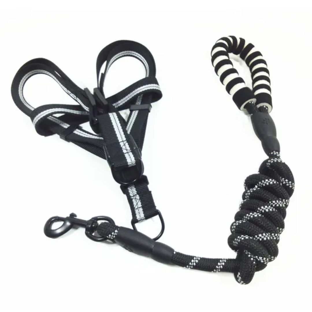 Pet Luxury Pawsitively Perfect Black Leach Harness