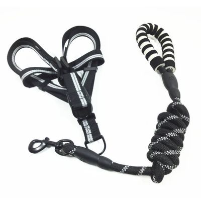 Pet Luxury Pawsitively Perfect Black Leach Harness
