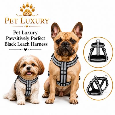 Pet Luxury Pawsitively Perfect Black Leach Harness