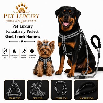 Pet Luxury Pawsitively Perfect Black Leach Harness