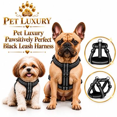 Pet Luxury ® Pawsitively Perfect Black Dog Harness and Leash Set 🖤🐾