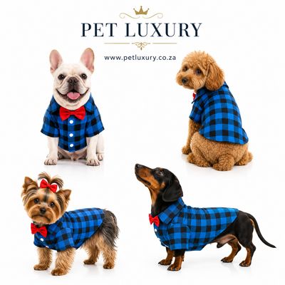 Stylish Pet Luxury Bow Tie Check Shirt - Blue
