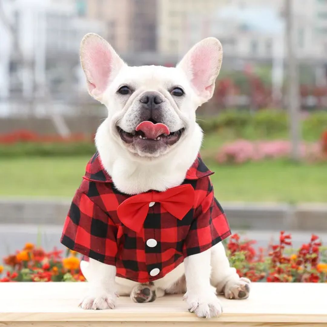 Stylish Pet Bow Tie Shirt - Red