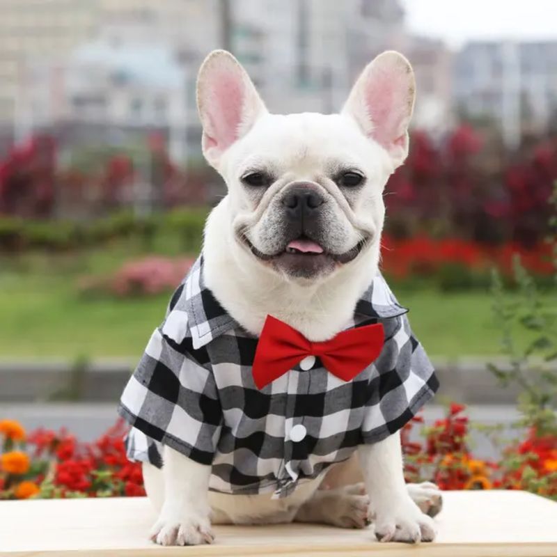 Stylish Pet Bow Tie Shirt - Black
