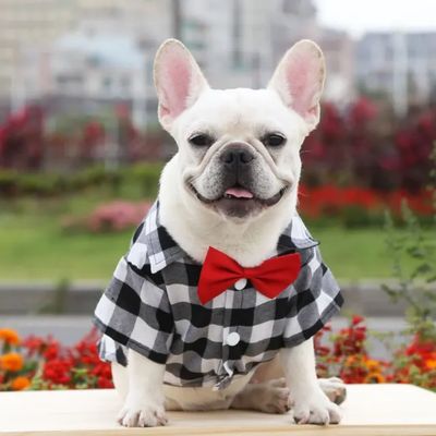 Stylish Pet Bow Tie Shirt - Black