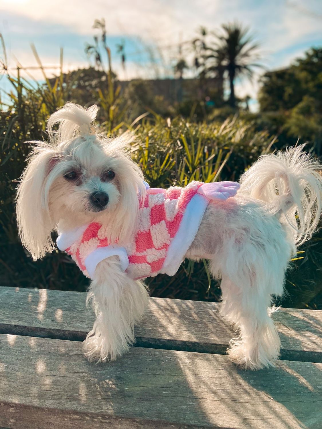 Fuzzy Frog Collection Dog And Cat Outfit-Pink