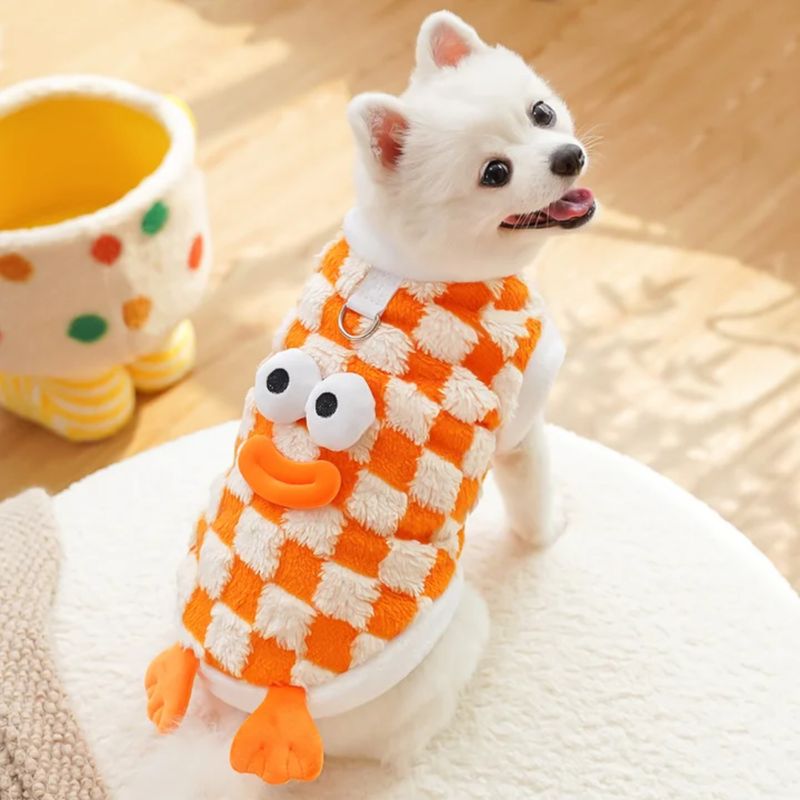 Fuzzy Frog Collection Dog And Cat Outfit - Orange