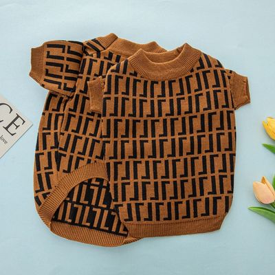 A-List Forward Fashion Dog Jersey