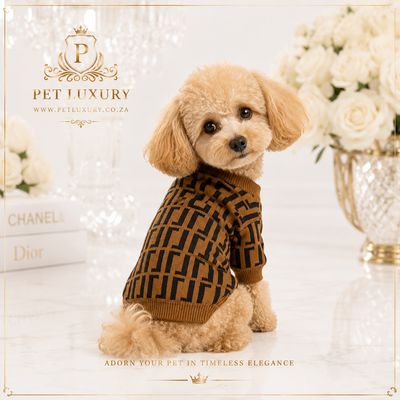 Pet Luxury A-List Forward Fashion Dog Jersey