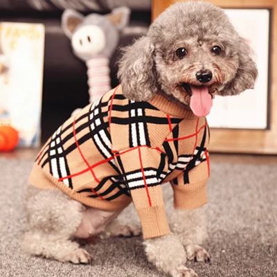 Fancy A Collection Dog And Cat Jersey