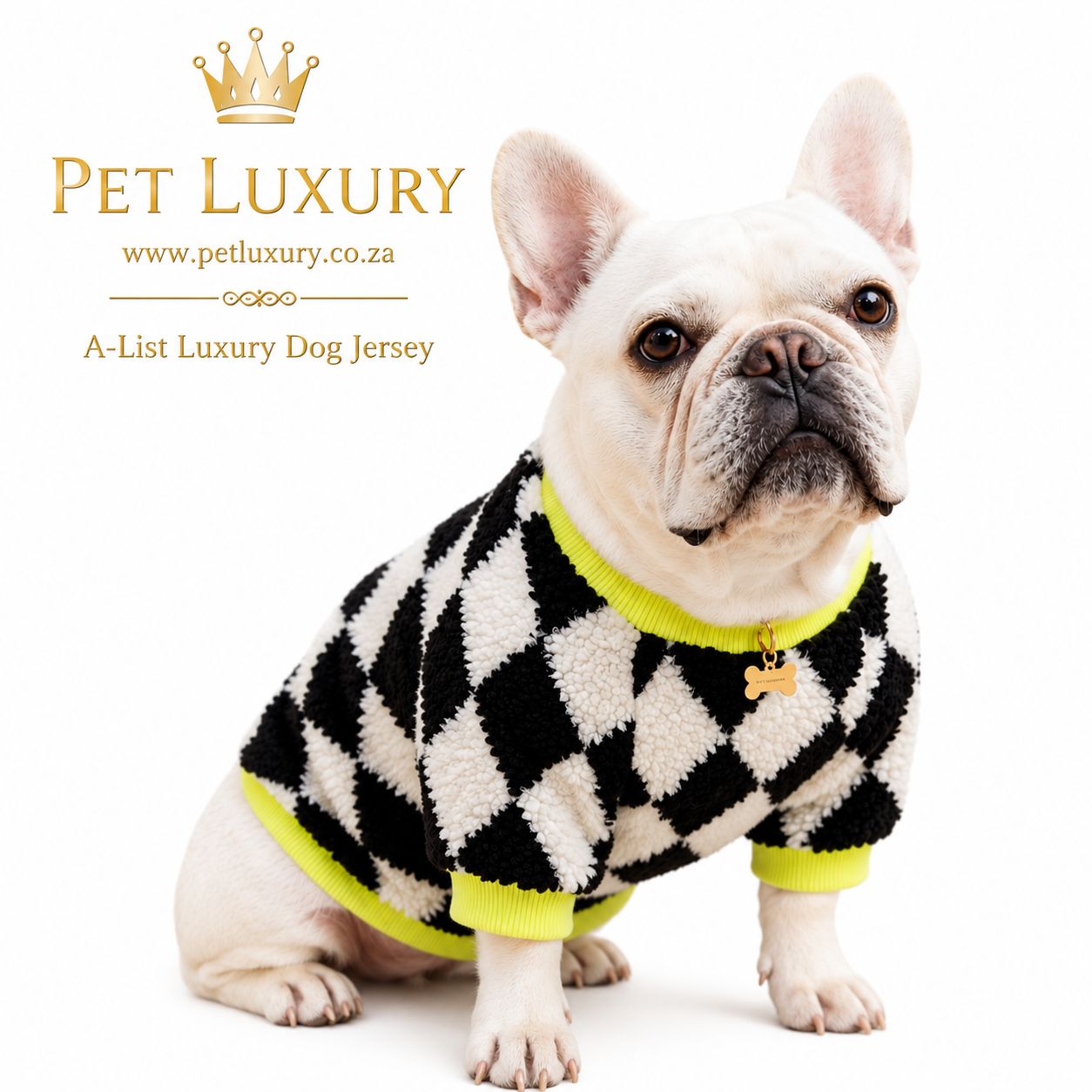 A-List Luxury Dog Jersey