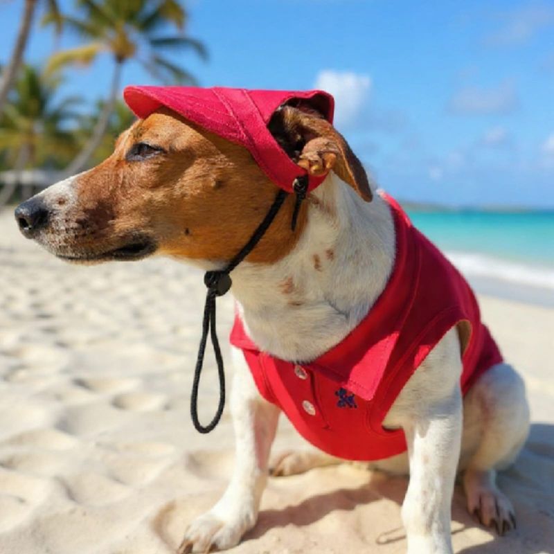 Pet Luxury Golf T-Shirt Red Dog Zone Shirt