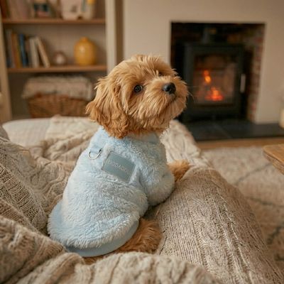 Wowzy Pet Jerseys With Harness Clip-Blue