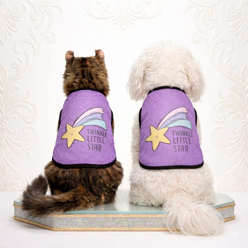 Rainbow Pet Daily Wear Vest