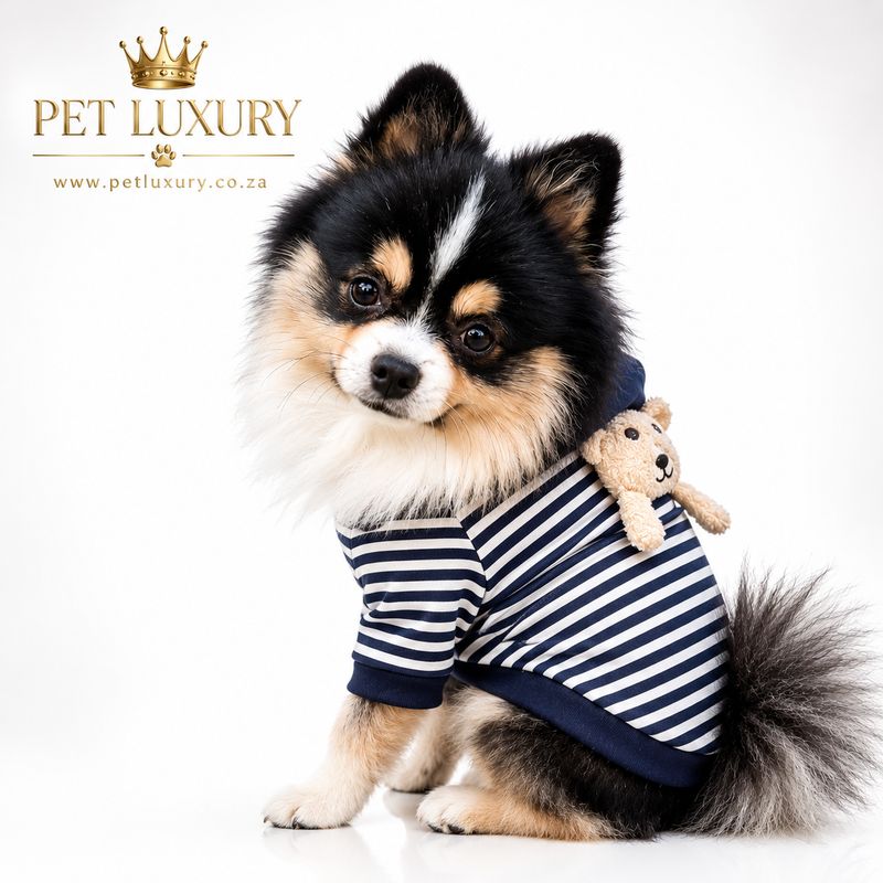 Teddy GM Collection Dog Jersey - Blue