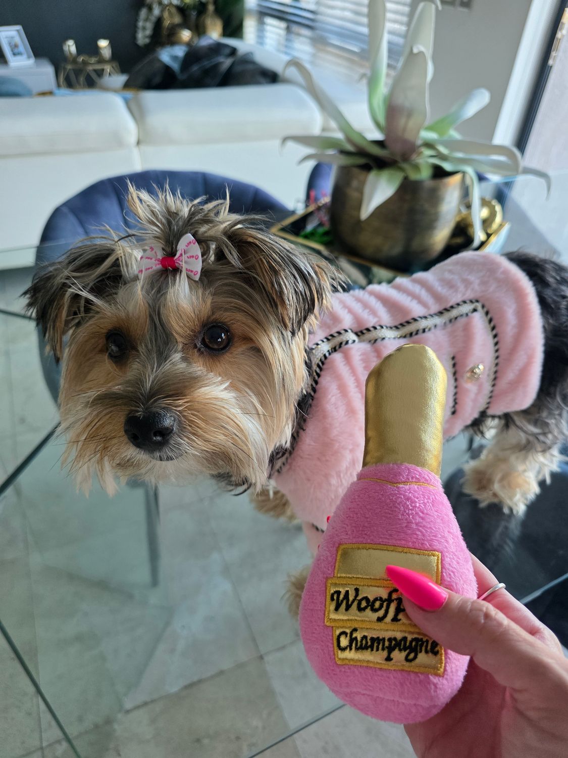 Cheers Paw Collection Perfume Squeaky Pet Toy