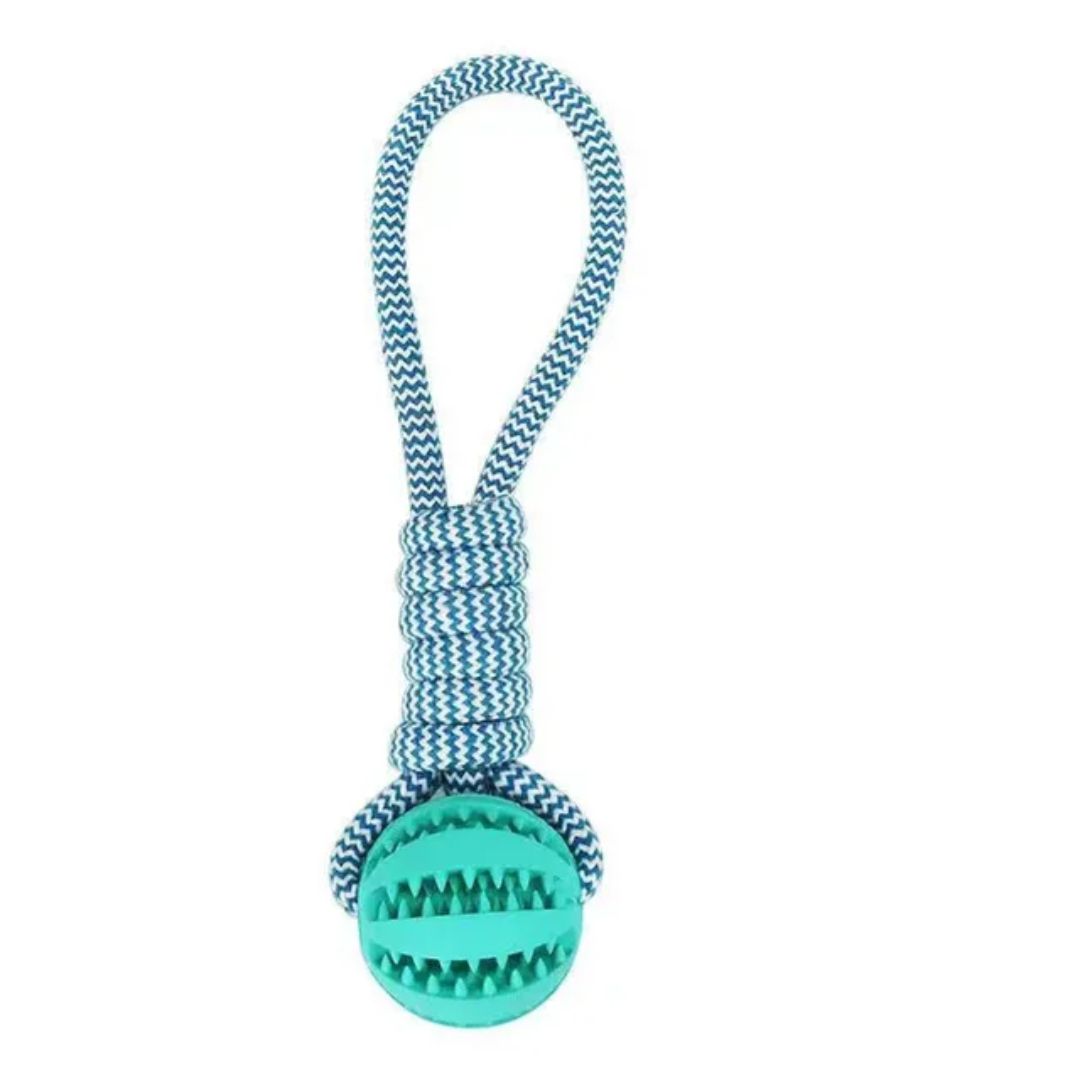 PAWS Dog Treat Ball Pet Toy-Blue