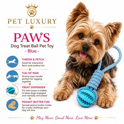 PAWS Dog Treat Ball Pet Toy - Aqua Blue