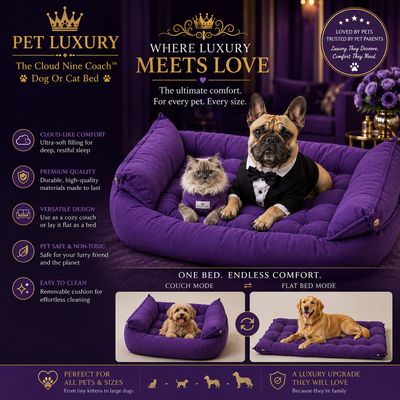 The Cloud Nine Coach™ Dog Or Cat Bed by Pet Luxury - Royal Purple