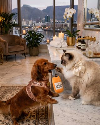 Cheers Luxury Pet Collection - Plush Squeaky Cat & Dog Toy Cheers Luxury Pet Collection - Plush Squeaky Cat & Dog Toy