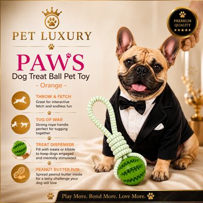 PAWS Dog Treat Ball Pet Toy - Green