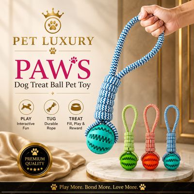 PAWS Dog Treat Ball Pet Toy - Orange